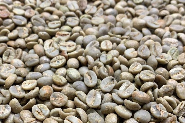 Arabica green coffee