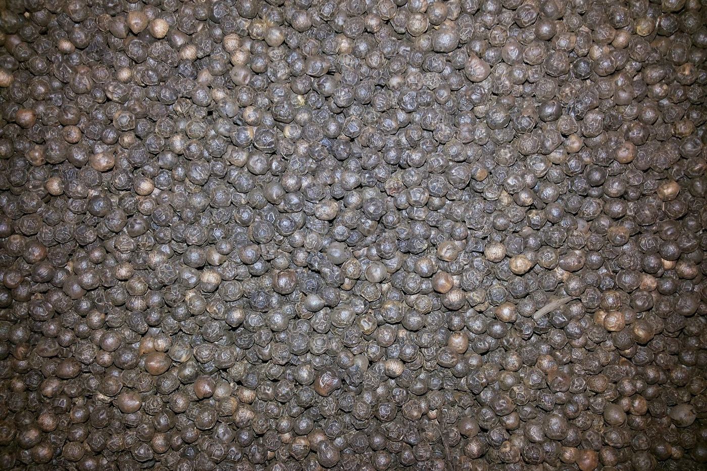 Black pepper, whole
