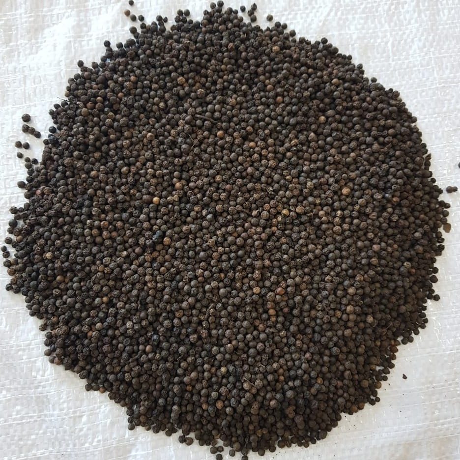 Black pepper ASTA 570 g/l