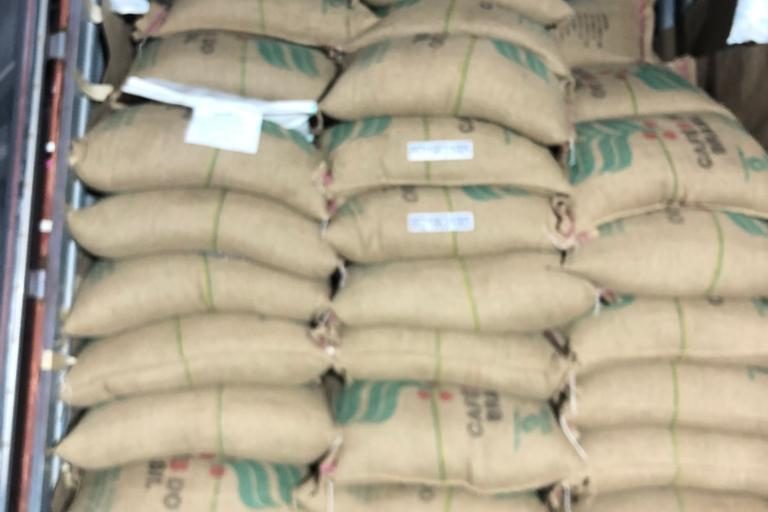 Green coffee in 60 kg jute bags, ready to ship
