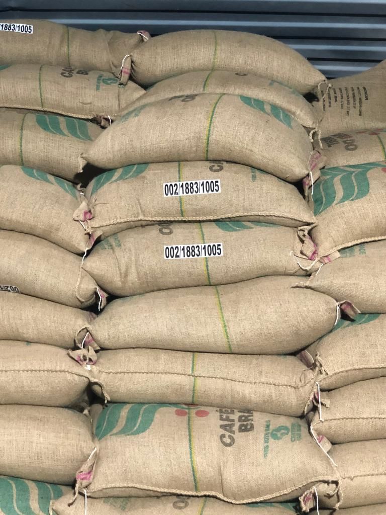Green coffee in 60 kg jute bags