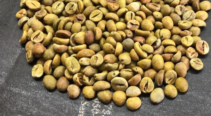 Conilon / Robusta green coffee
