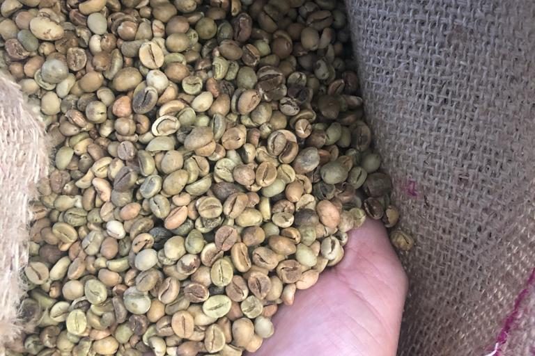 Conilon / Robusta green coffee