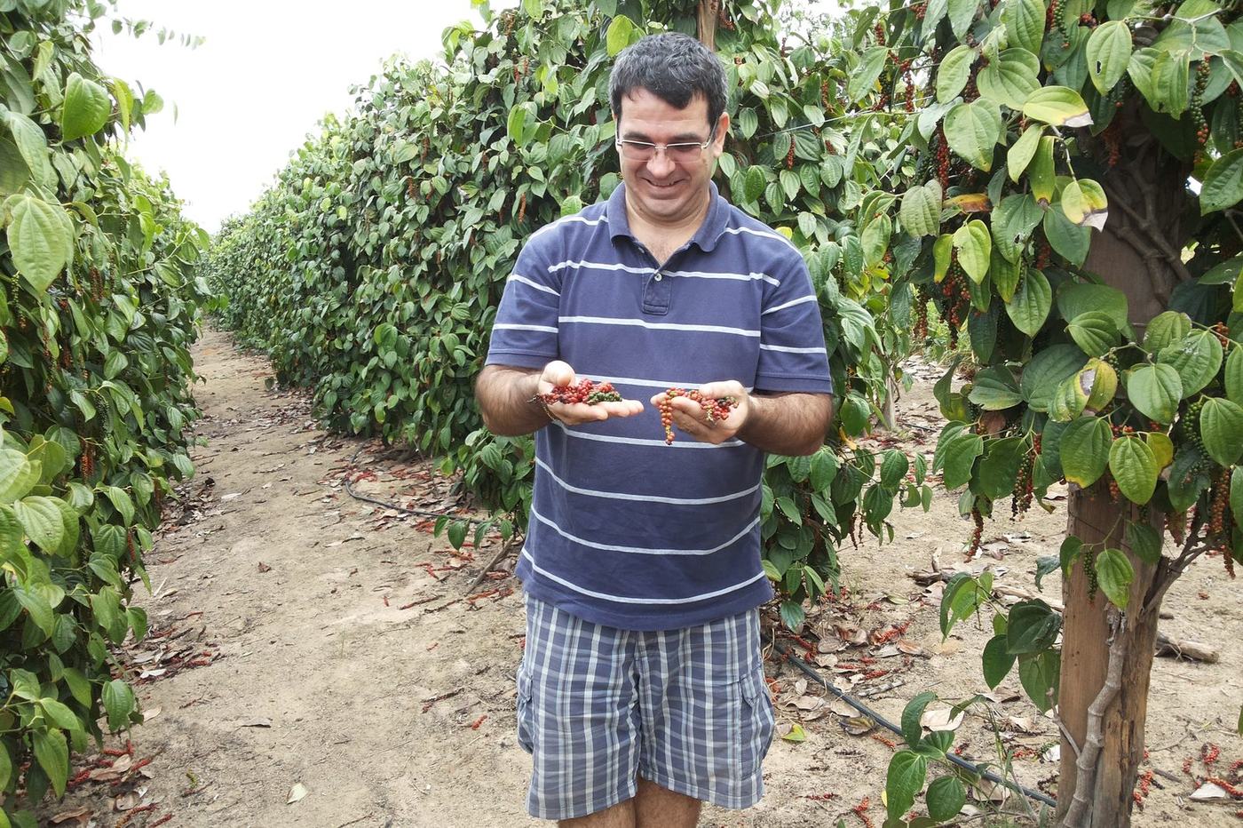 Visiting a pepper farm, Espírito Santo