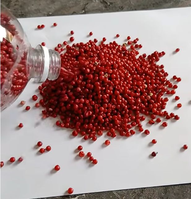Pink pepper, premium grade