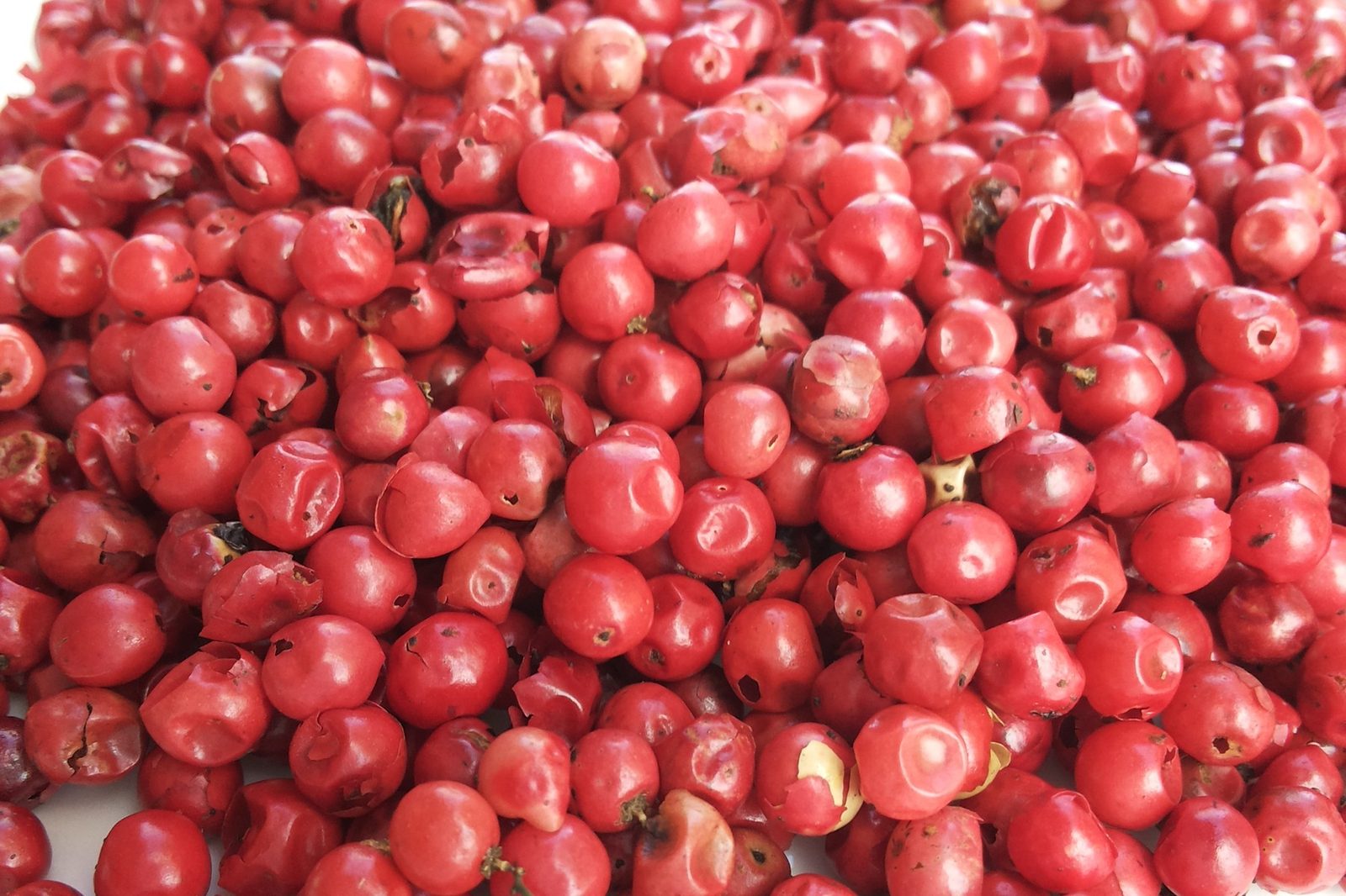 Pink pepper, whole