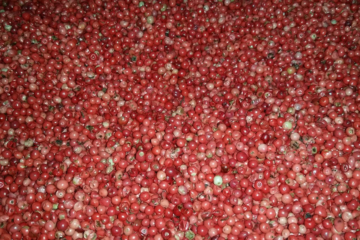 Pink pepper, whole
