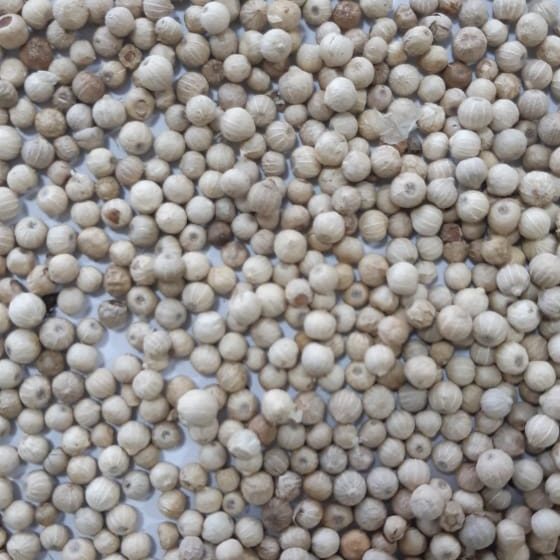 White pepper, whole