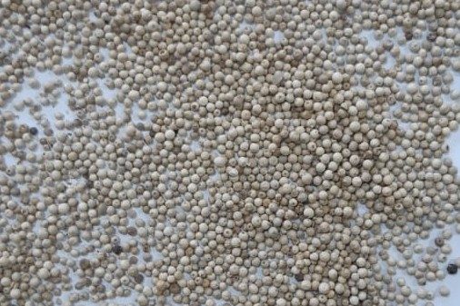 White pepper, whole